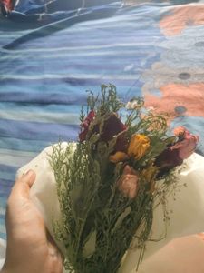 Dry Flower