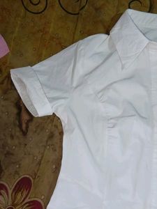 Classic White Short Sleeve Button-Up Top