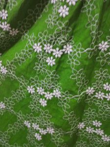 Savana Beach backless Green Embroidered Dress