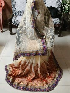 Embroidered mirror work Saree