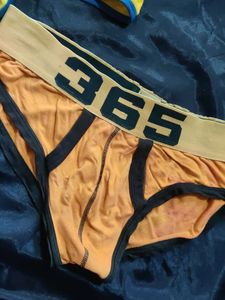Men's Innerwear Briefs 2-Pack