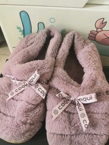 Coquille Slippers