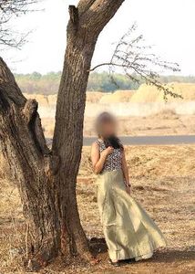 Elegant Ethnic Gown