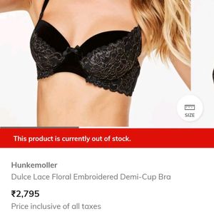Lace And Velvet Designer Bra