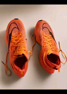 Nike Running Shoes