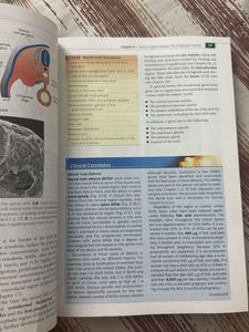 Langman's Medical Embryology 13th Edition