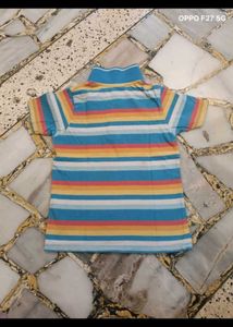 38. Colorful Striped Polo Shirt