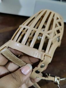 dog Muzzle For Almost An Year Puppy