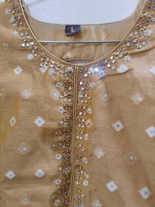 A kurta set with mirror work back design