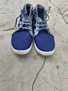 Sneakers for Men (Blue) ।। SIZE : UK 12