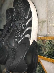 unisex Sparx Running Shoes