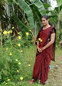 stylish blouse upto 36