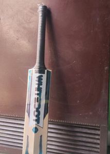 The Best Cricket Bat