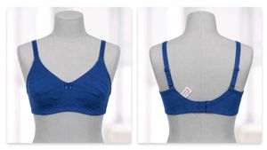 Comfortable Blue brown Everyday Bra
