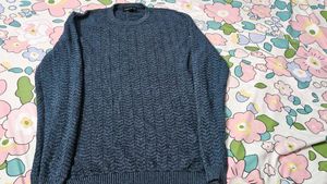 Men's Textured Knit Sweater