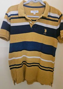 Striped USPA Polo Shirt