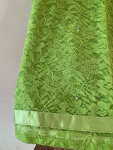 Lime Green Lace Saree with Embellishments