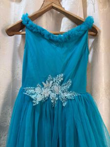 Designer Princess Cinderella Tulle Gown