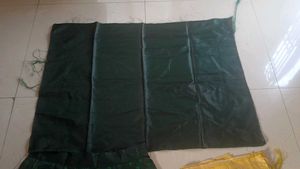 Elegant Green Lehenga Choli Set