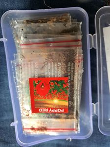 Set Of 30 Flower Seeds