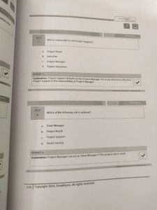 Prince 2