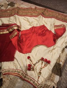 Red &amp; Gold Embellished Lehenga Set