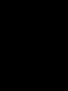 CC3