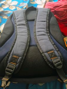 Fastrack Backpack Blue