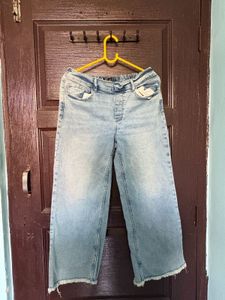 Light Wash Cropped Wide Leg Jeans
