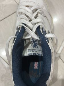 White &amp; Blue Casual Sneakers