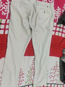 Casual Beige Pants