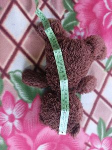 Imported Brown Teddy Bear.