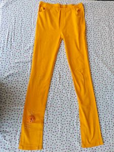 Yellow Leggings  fully stretchable with Floral Emb
