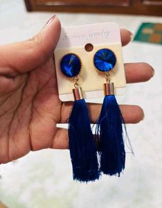 Stunning Blue Statement Earrings