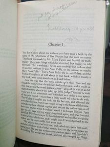 Huckleberry Finn Book