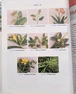 Forensic Medicine &amp; Toxicology Textbook