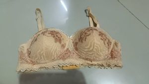 Clovia 36 B Push-up Bra