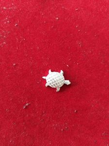 Pure Silver Lizard Nd Tortoise For Laxmi Pooja