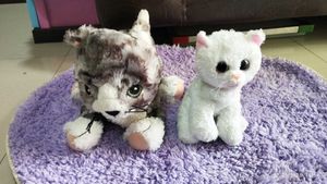 Stuffed Animal Cats