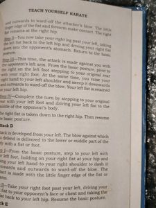 Teach Yourself Karate Book