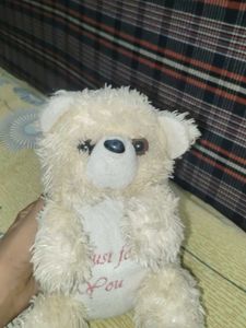 Cute Cream Teddy Bear
