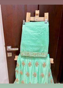 Brand New Mint Green Lehenga Choli