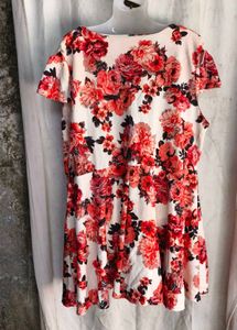 Floral Print V-Neck Dress