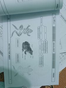 10 Test paper Neet