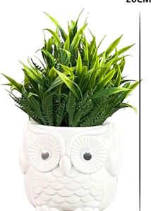 Cute Owl Planter Pots Set of 2