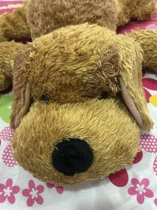 Cuddly Brown doggie Plush Toy
