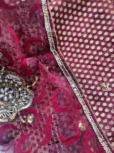 Party Wear Embellished Boutique Saree