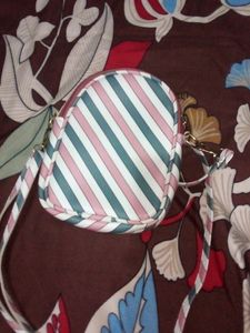 Small And Trendy Sling Bag
