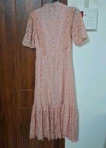 Lace elegant dress
