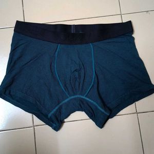 Teal Green Trunk
